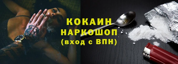 индика Ельня
