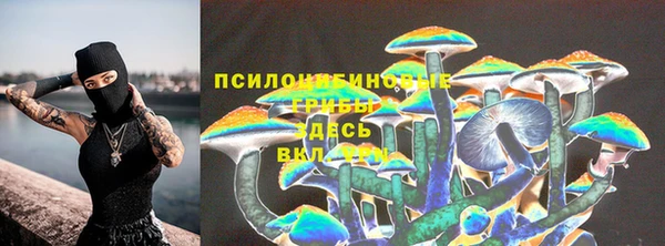 крисы Абдулино