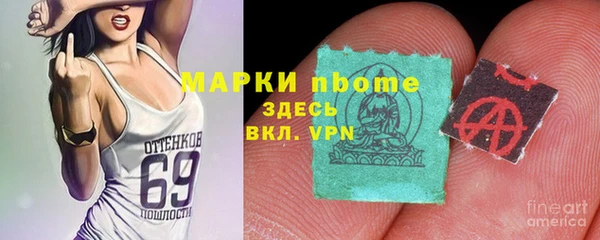 дживик Елабуга