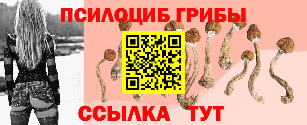 Псилоцибиновые грибы Magic Shrooms  Псилоцибиновые грибы Psilocybe  Вход с VPN  Зеленодольск 