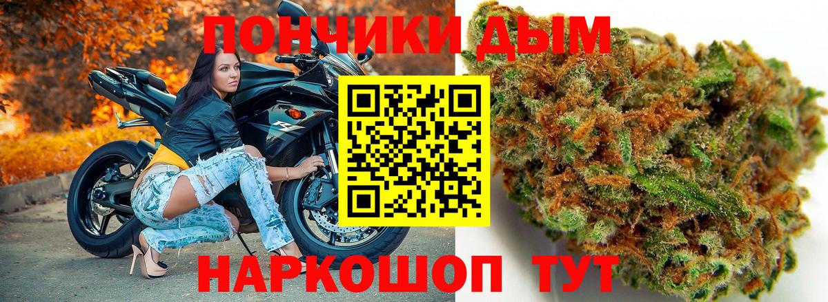Бошки Шишки ГИДРОПОН  Бошки марихуана план  Зеленодольск  Вход с VPN 